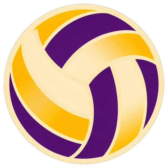Adesivo de uma bola de vôlei
