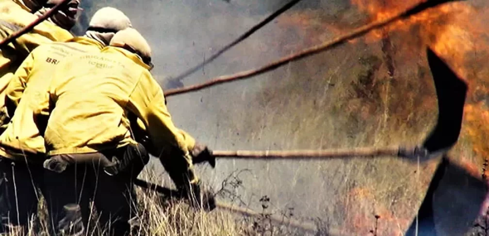 19fev2021_capestesemanejofogo_4_guilhermefagundes