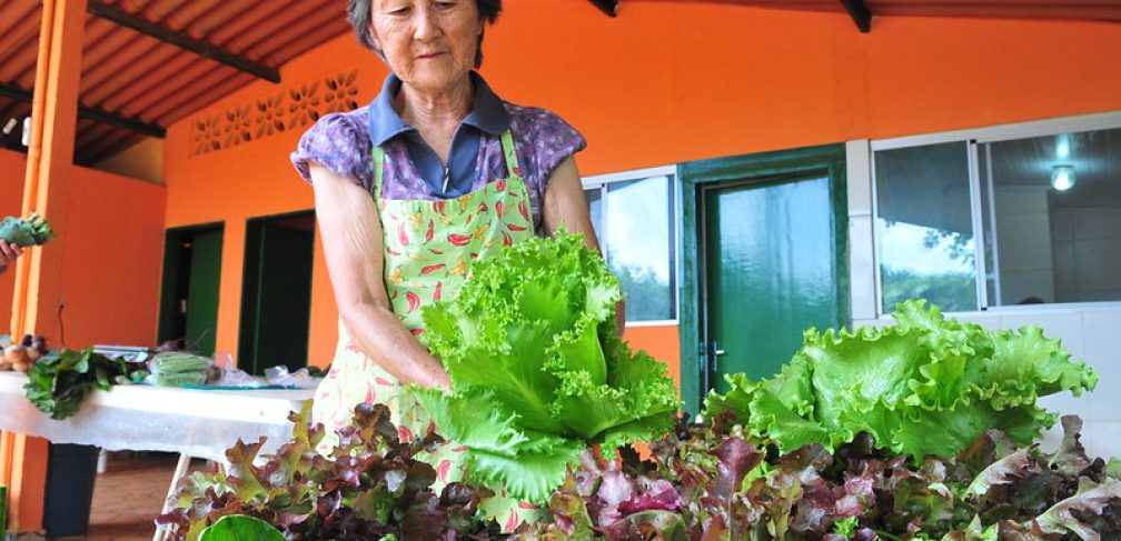 Foto: Tony Winston/Agência Brasília