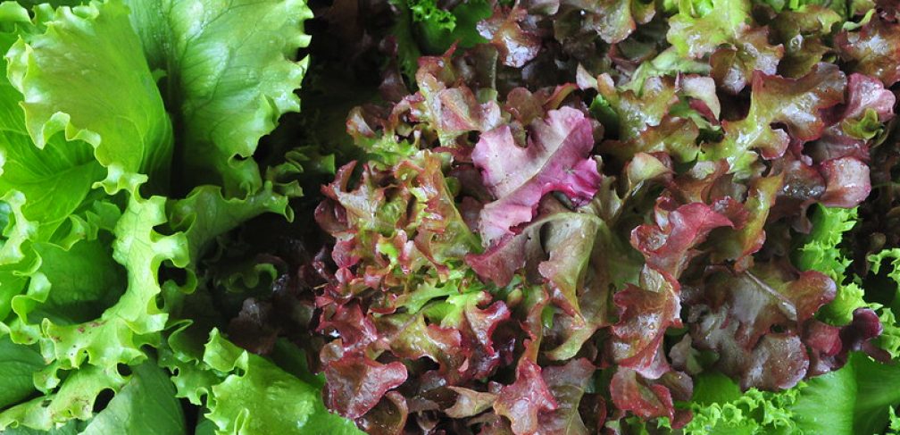 Foto: Tony Winston/Agência Brasília