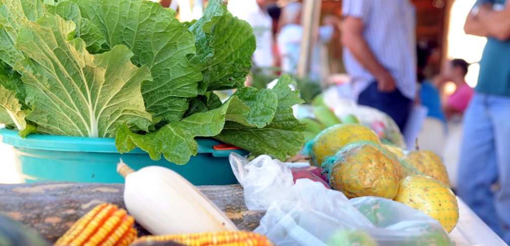 Foto: Dênio Simões/Agência Brasília