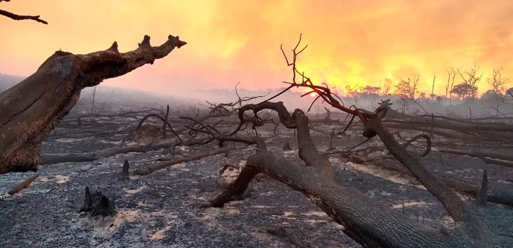 WhatsApp Image 2020-02-11 at 14.07.27