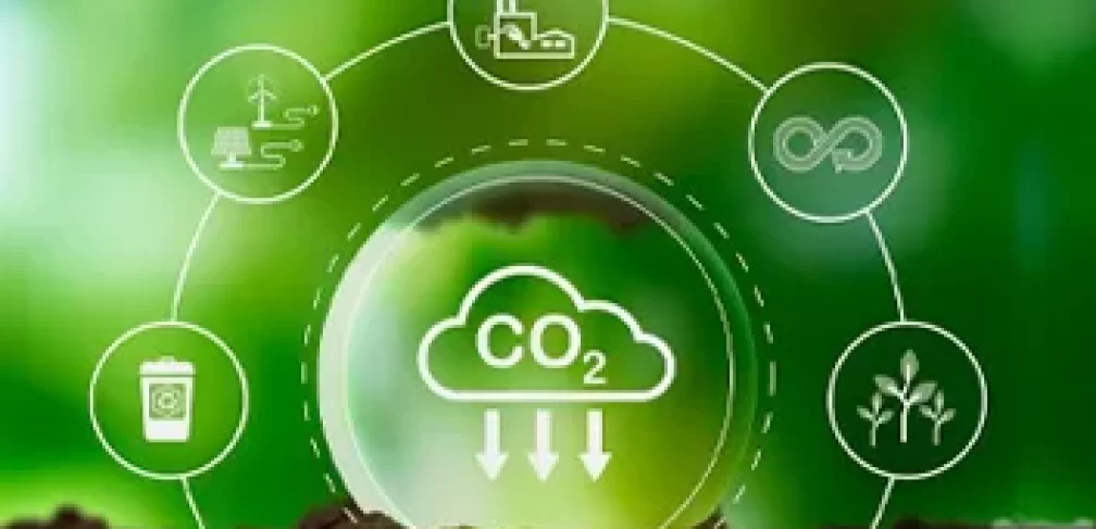 mercado-de-carbono-dest