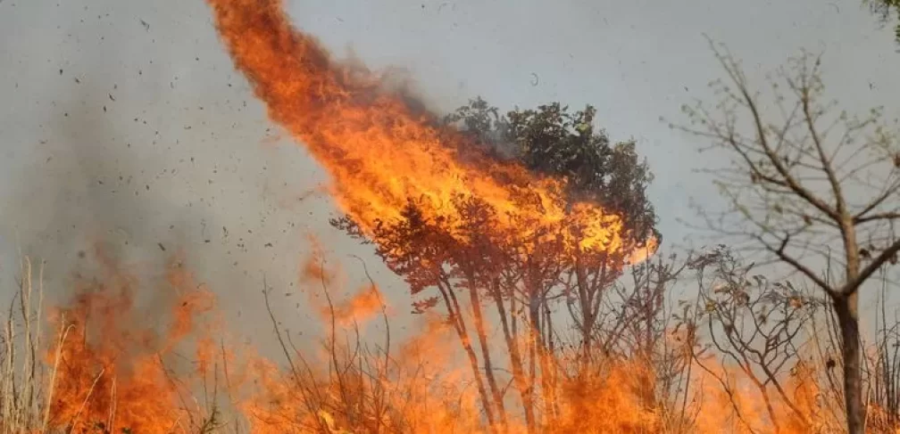 queimadas_agencia-brasil