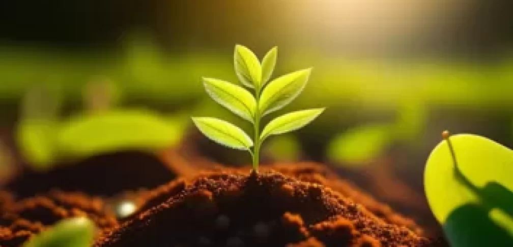 transicao-ecologica-dest